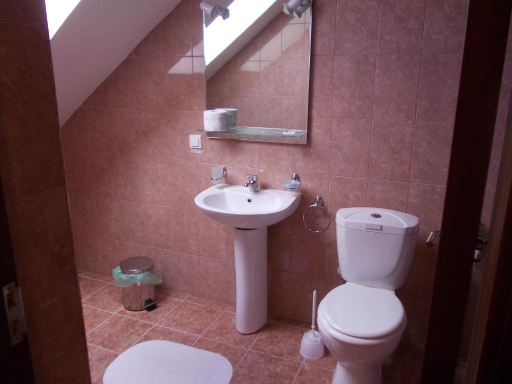 Pension Larisa Arad Room photo