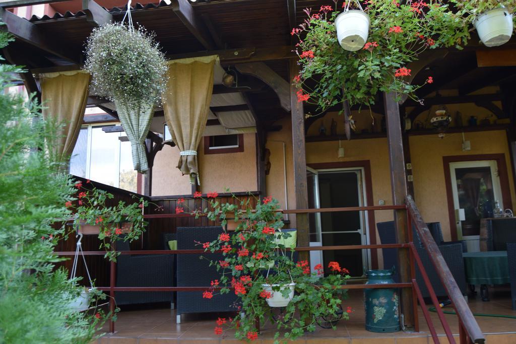 Pension Larisa Arad Exterior photo
