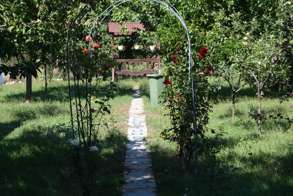 Pension Larisa Arad Exterior photo