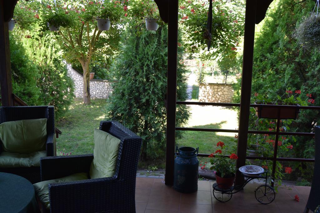 Pension Larisa Arad Exterior photo