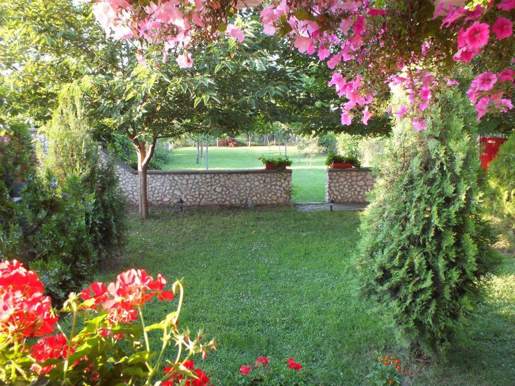 Pension Larisa Arad Exterior photo