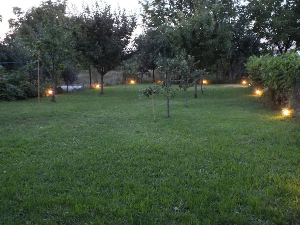 Pension Larisa Arad Exterior photo