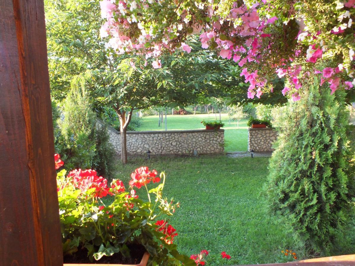 Pension Larisa Arad Exterior photo