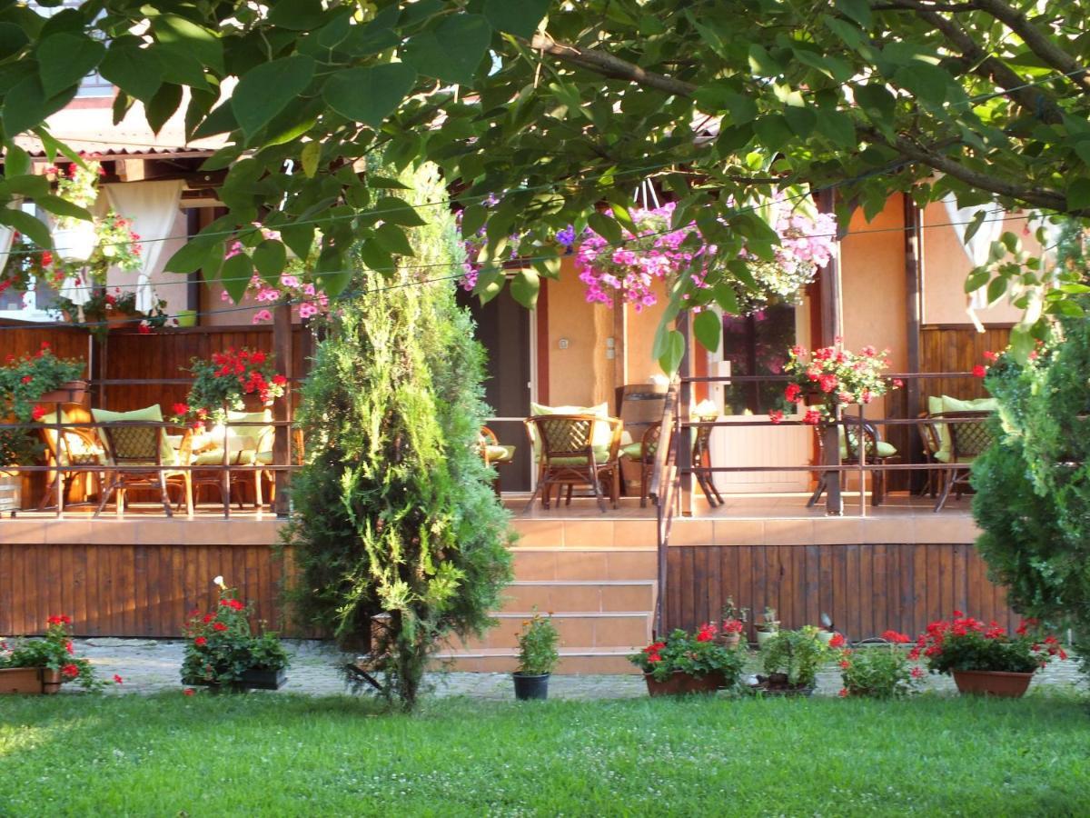 Pension Larisa Arad Exterior photo