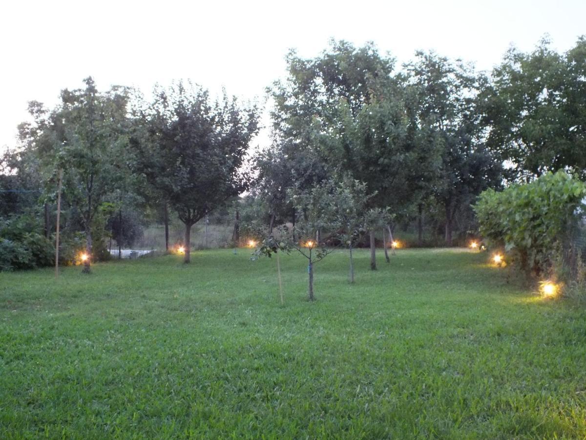Pension Larisa Arad Exterior photo